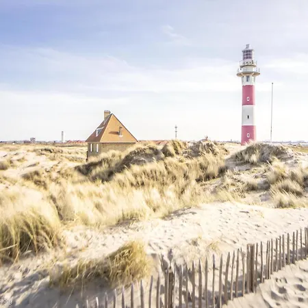 Apartman In Near The