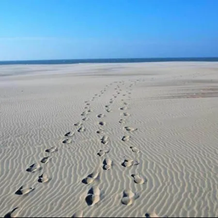 In Near The Nieuwpoort