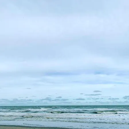 Apartman In Near The