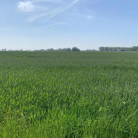 Apartman In Near The Nieuwpoort