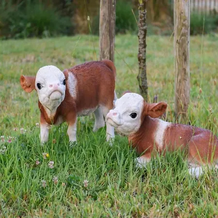 In Near The Apartman *