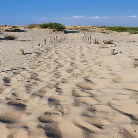 In Near The Nieuwpoort