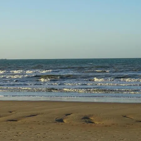 Apartman In Near The